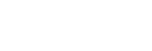 Logo of Lingsoft